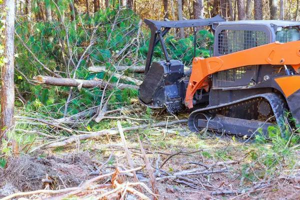 Shelton Tree Service Helping Protect Your Trees and Property