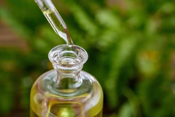 A Consumer Guide to Hemp-Derived Delta-8 Product Quality