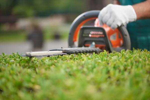 How Landscaping Services Can Improve Your Home’s Exterior